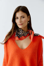 Load image into Gallery viewer, Camel Black Scarf