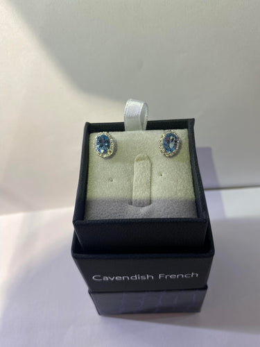 Timeless Elegance Aqua Earings